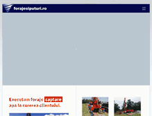 Tablet Screenshot of forajesiputuri.ro